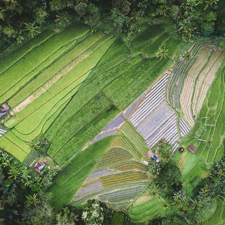 Entertainment zone at night in United Kingdom